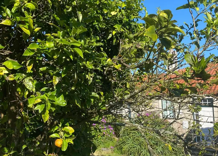 Casa Do Carqueijo בית נופש Vila Praia de Âncora