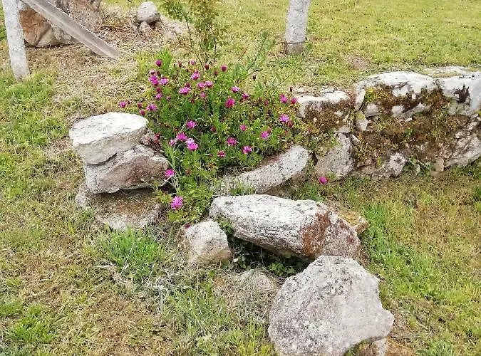 Casa Do Carqueijo בית נופש *