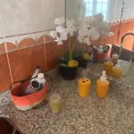 Casa Do Carqueijo *