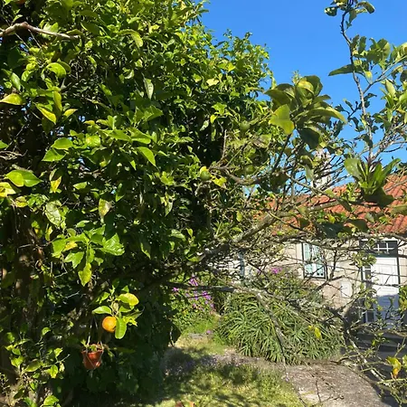 Casa Do Carqueijo 펜션 빌라프라이라데안코라