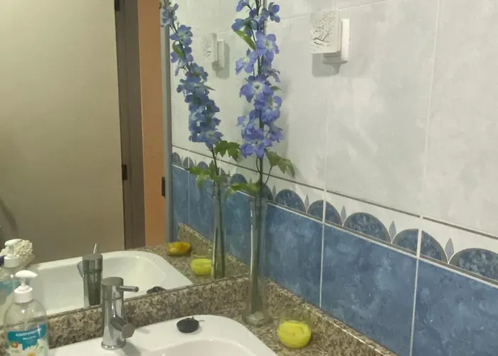 Casa Do Carqueijo * 빌라프라이라데안코라